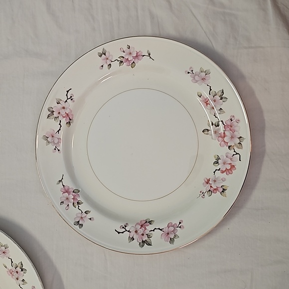 1950s Homer Laughlin Eggshell Nautilus plates cherry blossom pattern (2) - Picture 3 of 7